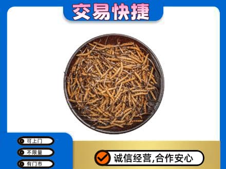 阳江回收散虫草